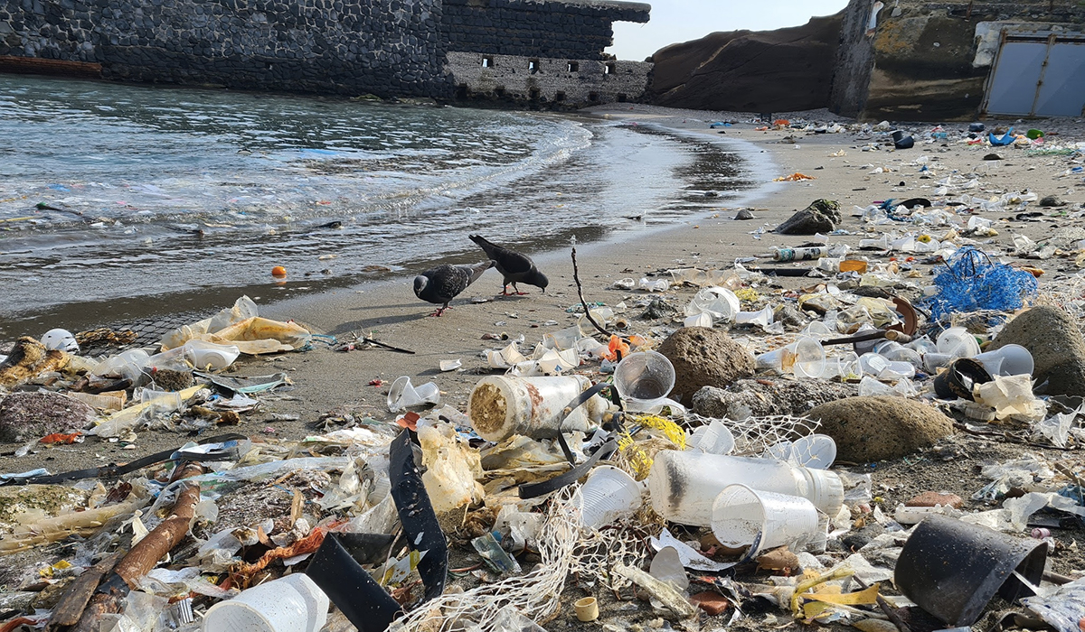 rifiuti e plastica al Parco Sommerso della Gaiola