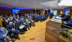 Agenda 2030 fotovoltaico