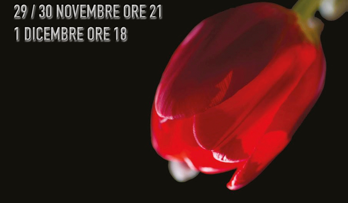 “Tulipani rossi” Al Teatro Le Sedie