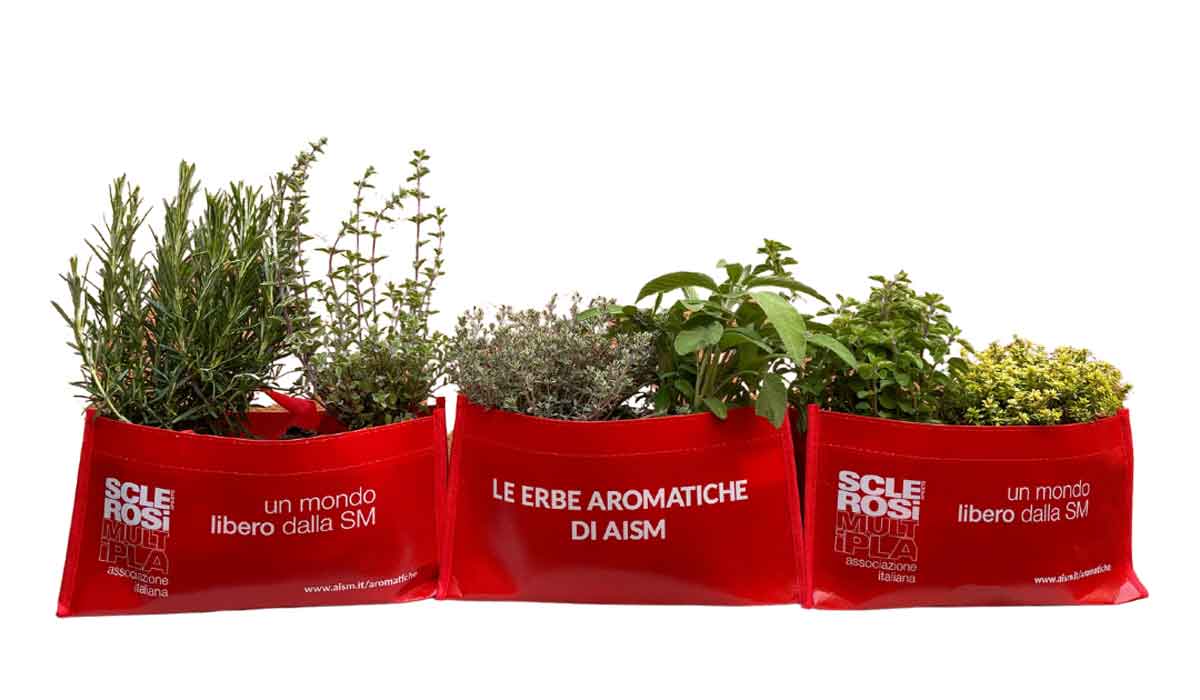 Erbe aromatiche AISM