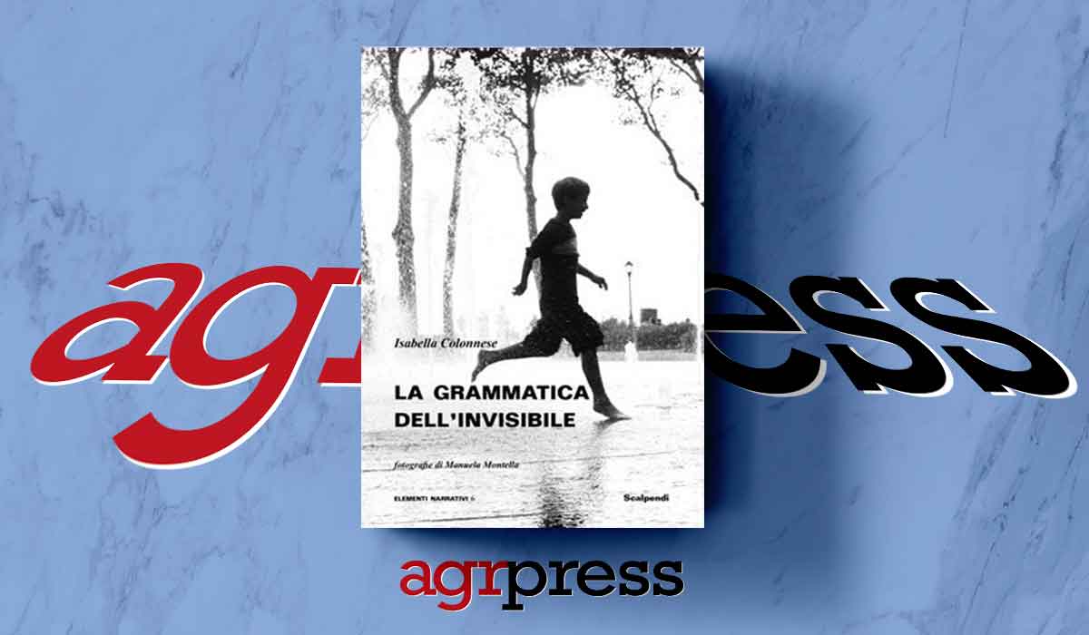 cover "La grammatica dell'invisibile"
