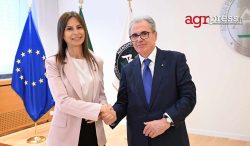 Giuseppina Di Foggia: accordo ACN–Terna per la cybersicurezza della rete elettrica italiana