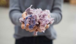 Innovazione verde: Legambiente premia le eccellenze italiane della sostenibilità