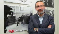 Stefano Maccioni