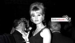 Brigitte Bardot Foto Carlo Riccardi Archivio Riccardi