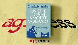 cover Dacia Maraini "Anche i cani a volte volano"