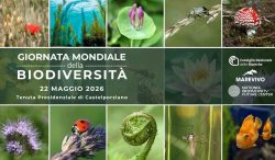 locandina Giornata Mondiale Biodiversità
