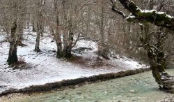 foto mostra "Il viaggio di Alice"