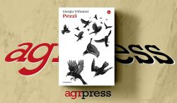 cover Giorgia Tribuiani