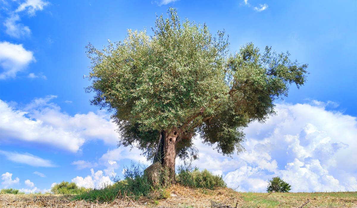 L’arte perduta di non fare nulla: cosa penserebbero delle nostre vacanze gli antichi Romani