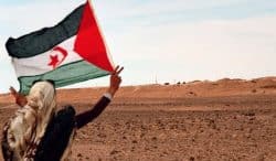 cover "Saharawi - La dignità di un popolo"