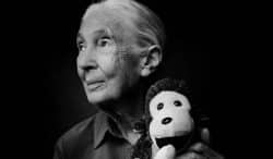 Jane Goodall