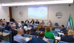 Libro Verde CISL: Patto sociale per il futuro del lavoro