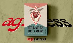 Edizioni Piuma inaugura Remiganti, la nuova collana illustrata per adulti curata da Domitilla Pirro. Il primo volume è Erbario del corpo.