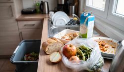 spreco alimentare, Spagna,