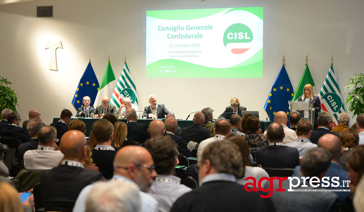 Cisl lancia Il Patto che unisce
